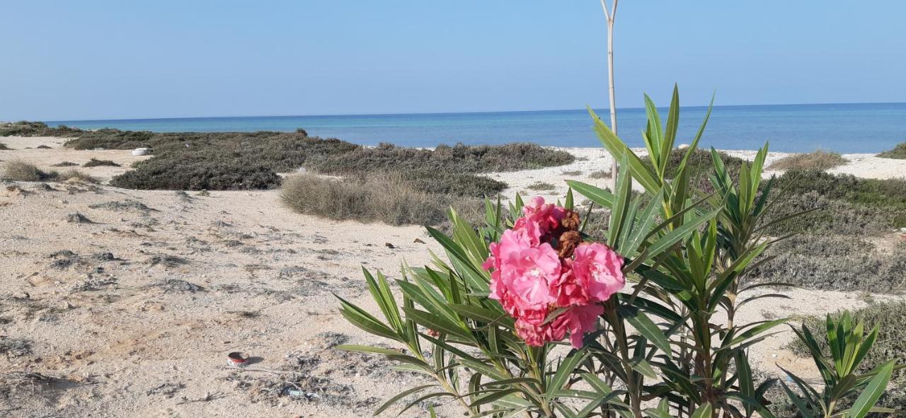 Dar Chick Yahia Ile De Djerba Bed & Breakfast Mezrane ภายนอก รูปภาพ